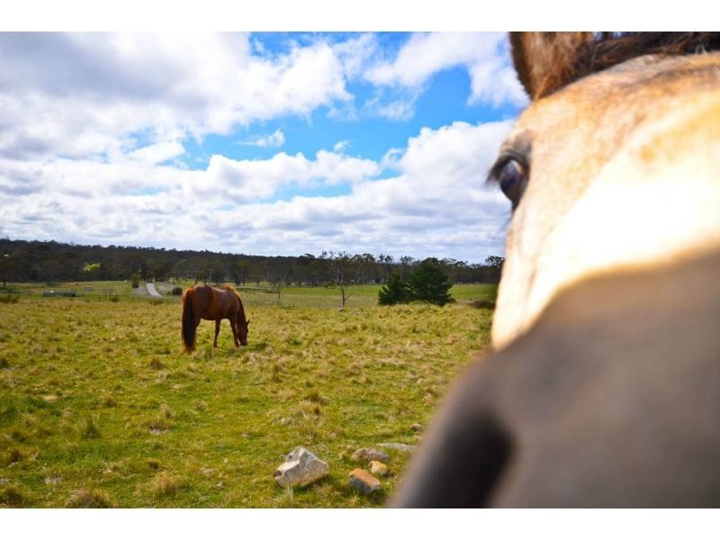 524 Jerrara Road, Marulan NSW 2579