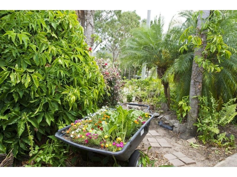 21 The Grove, Nelly Bay, Magnetic Island QLD 4819