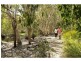 38 Corica Crescent, Horseshoe Bay, Magnetic Island QLD 4819