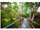 18 Pandanus Drive, Horseshoe Bay, Magnetic Island QLD 4819