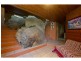 12 Boulder Court, Nelly Bay, Magnetic Island QLD 4819