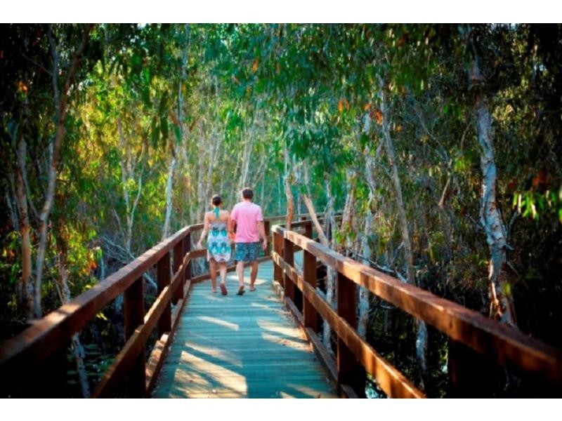 14 Pandanus Drive, Horseshoe Bay QLD 4819