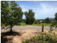 40 Wallaby Way, Horseshoe Bay, Magnetic Island QLD 4819