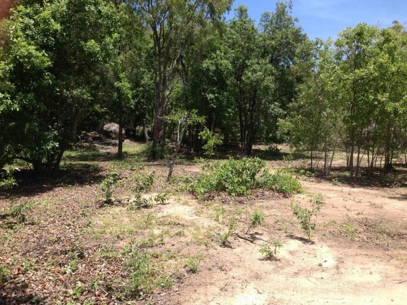 40 Wallaby Way, Horseshoe Bay, Magnetic Island QLD 4819