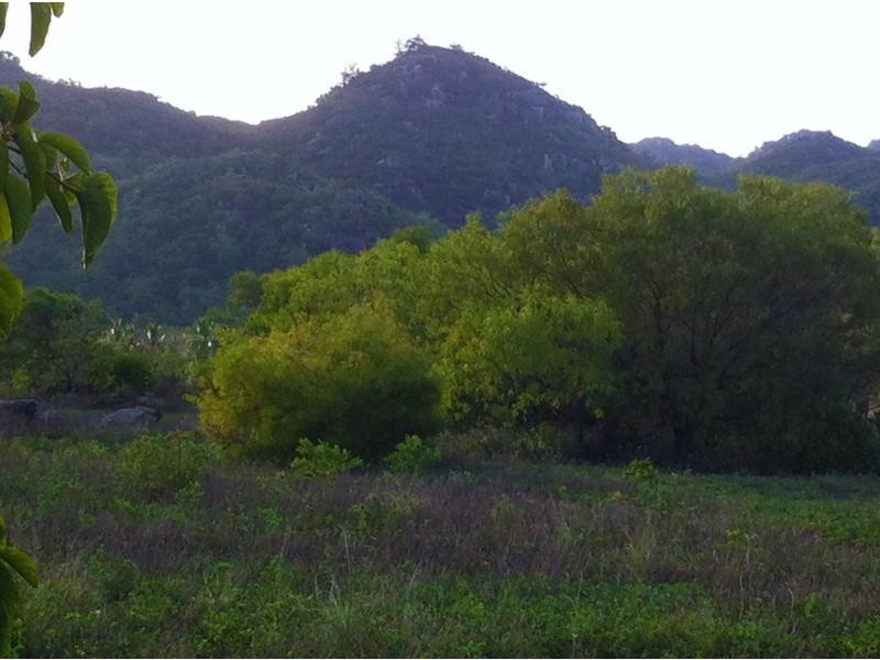 41 – 43 Wallaby Way, Horseshoe Bay QLD 4819