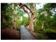 56 Pandanus Drive, Horseshoe Bay, Magnetic Island QLD 4819