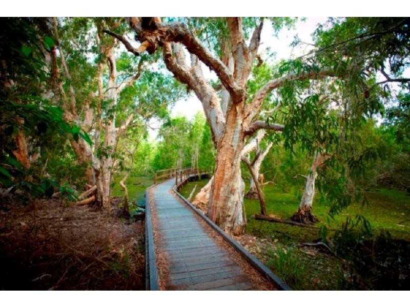 56 Pandanus Drive, Horseshoe Bay, Magnetic Island QLD 4819