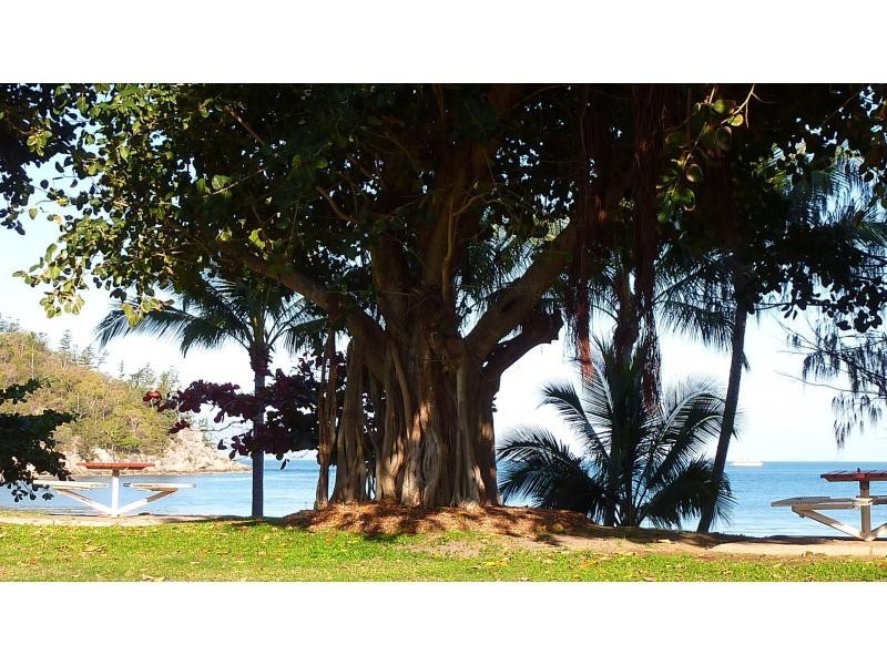 Unit 1/6 Esplanade , Picnic Bay, Magnetic Island QLD 4819