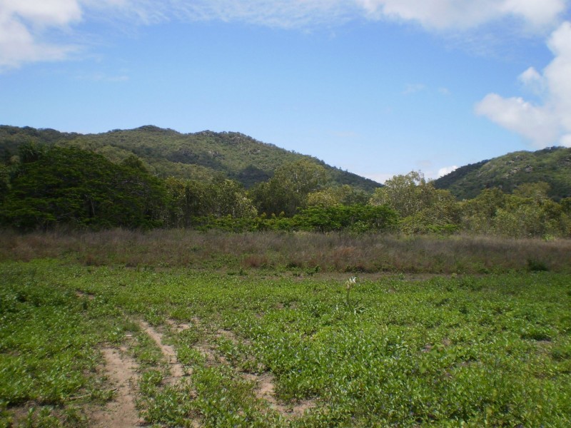 115-133 Apjohn Street, Horseshoe Bay QLD 4819