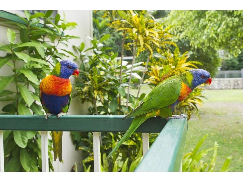 13-15 Hayles Avenue, Arcadia QLD 4819