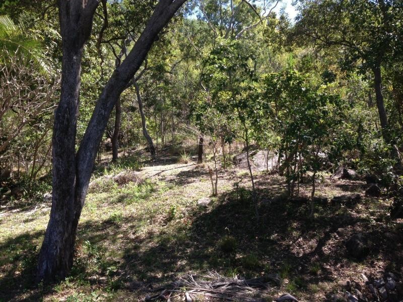 21 Nerita Crescent, Nelly Bay QLD 4819