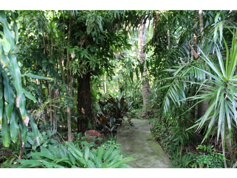 30 The Grove St, Nelly Bay QLD 4819