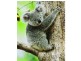 L7/190 Apjohn Street, Horseshoe Bay, Magnetic Island QLD 4819
