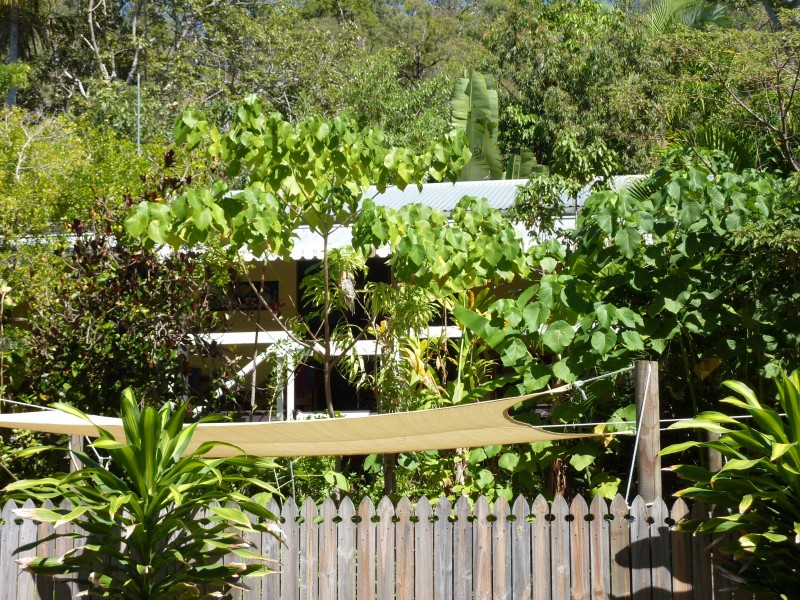 53 Mirimar Cres, Arcadia QLD 4819