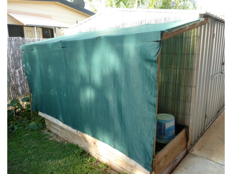 3 Pietro Ct, Horseshoe Bay QLD 4819