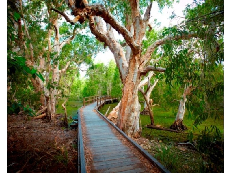 14 Pandanus Drive, Horseshoe Bay QLD 4819