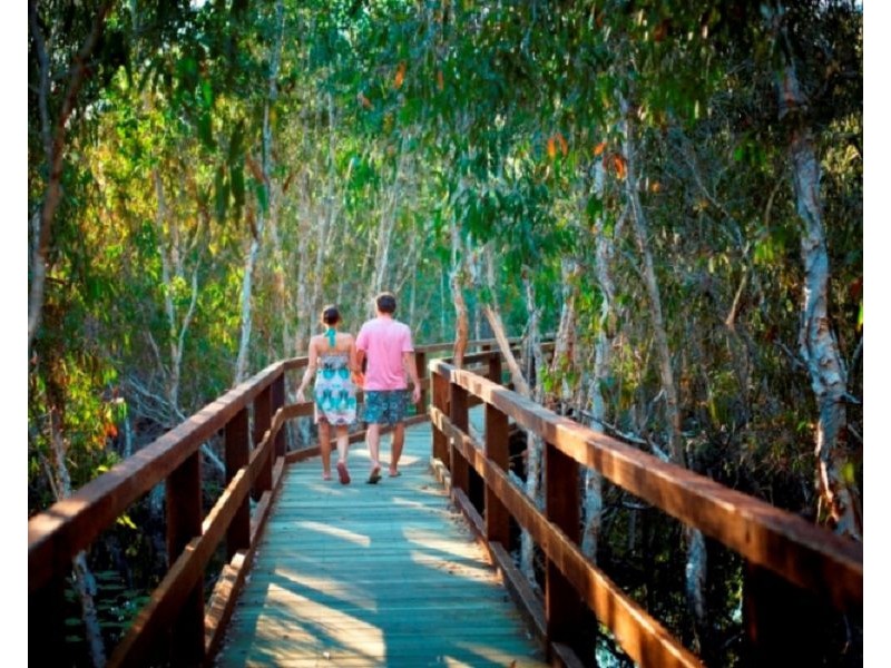 14 Pandanus Drive, Horseshoe Bay QLD 4819