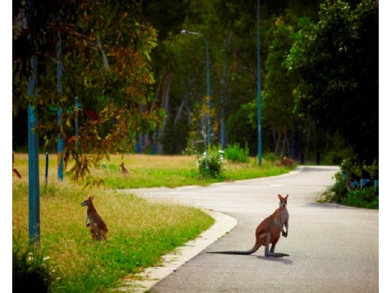 14 Pandanus Drive, Horseshoe Bay QLD 4819