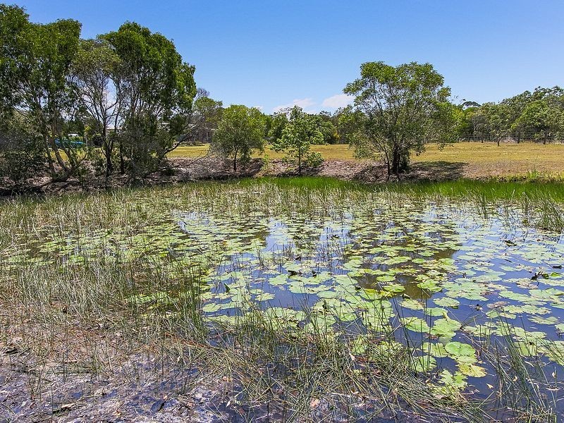 6 Sanctuary Hills Road, Takura QLD 4655