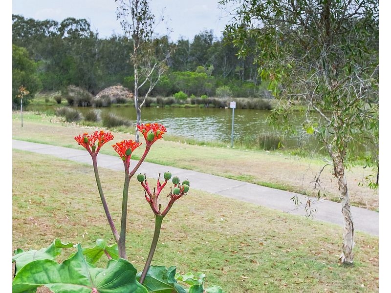 36 Spinnaker Drive, Point Vernon QLD 4655