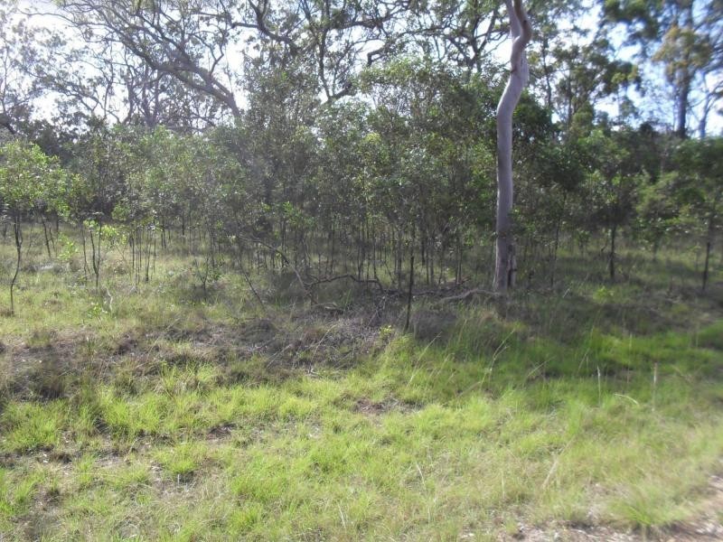 5 Cherwell Crescent, Pacific Haven QLD 4659