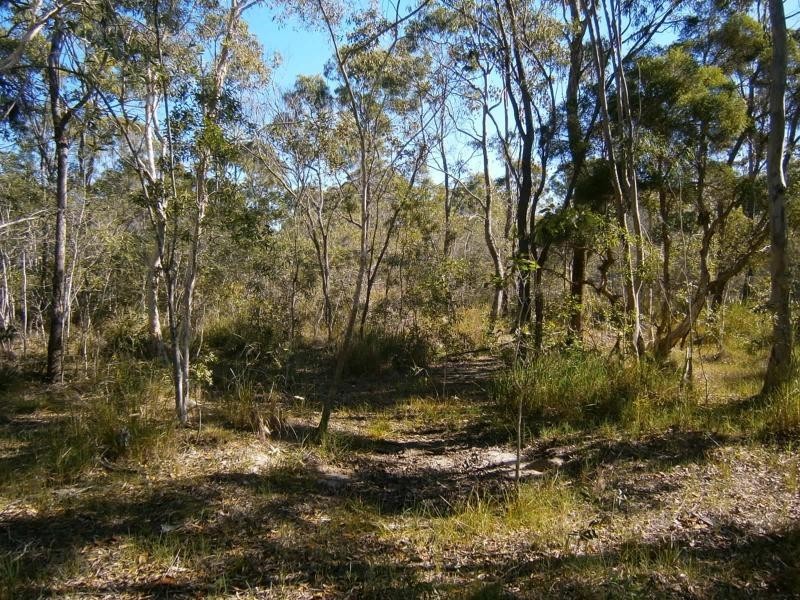 Pacific Haven QLD 4659