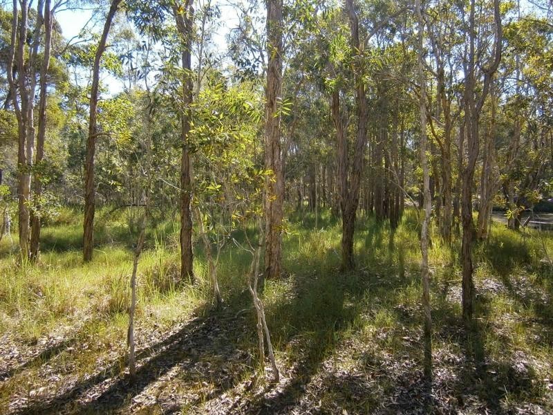 Pacific Haven QLD 4659