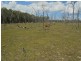 L2 Bilsborough Road, Pacific Haven QLD 4659
