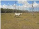 L2 Bilsborough Road, Pacific Haven QLD 4659