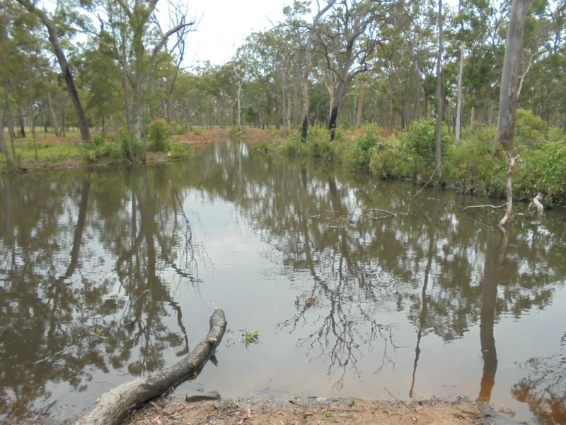 475 Duckinwilla Road, Duckinwilla QLD 4650