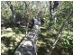 242 Pacific Haven Circuit, Pacific Haven QLD 4659