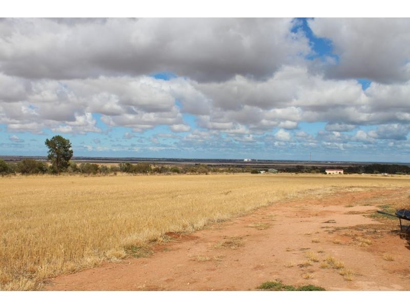 92 Scenic Drive, Napperby SA 5540