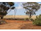 314 Locks Road, Warnertown SA 5540