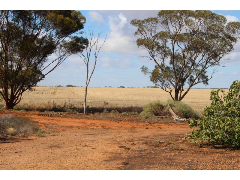 314 Locks Road, Warnertown SA 5540