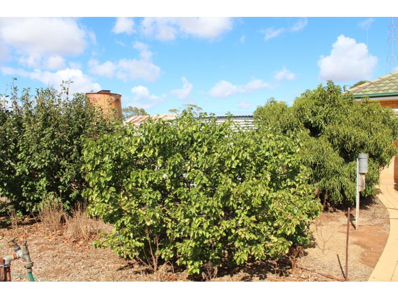 314 Locks Road, Warnertown SA 5540