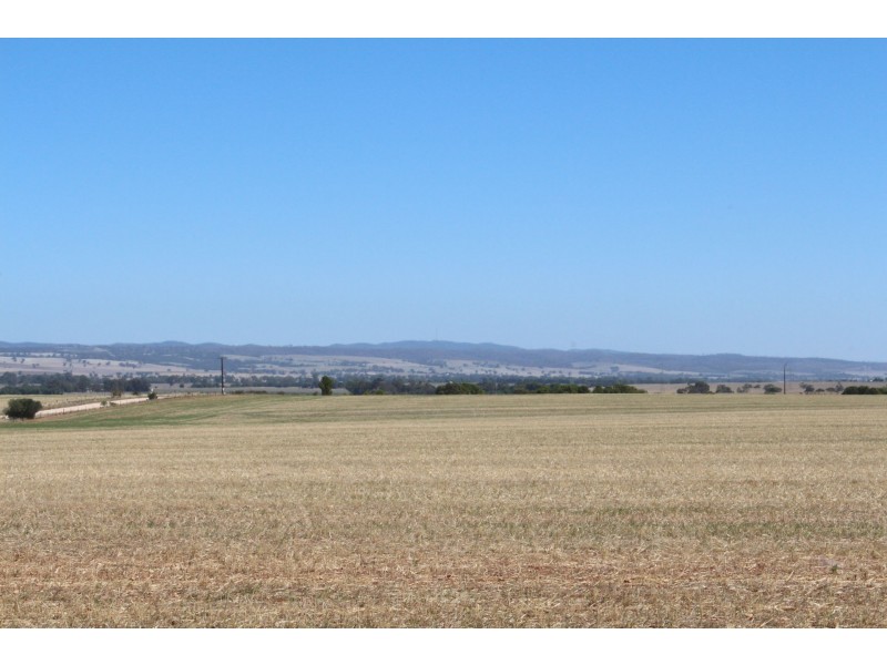 42 Ash Crescent, Gladstone SA 5473