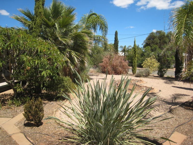 37 Noll Street, Port Pirie SA 5540