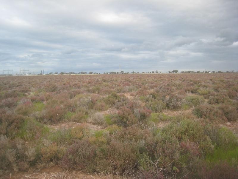 L8 Hillview Road, Bungama SA 5540