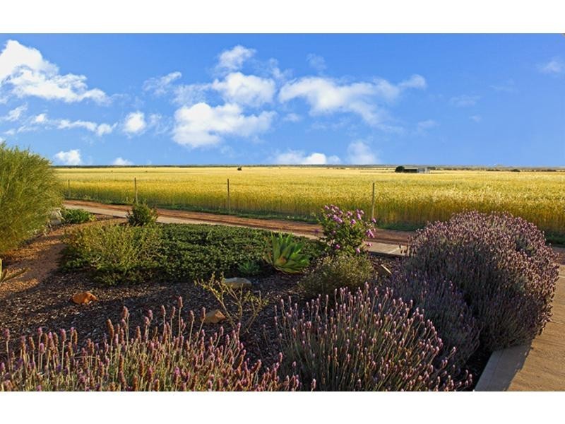 16 Jericho Road, Napperby SA 5540