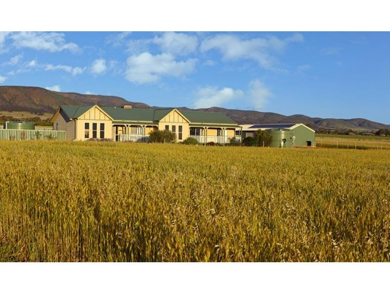 16 Jericho Road, Napperby SA 5540