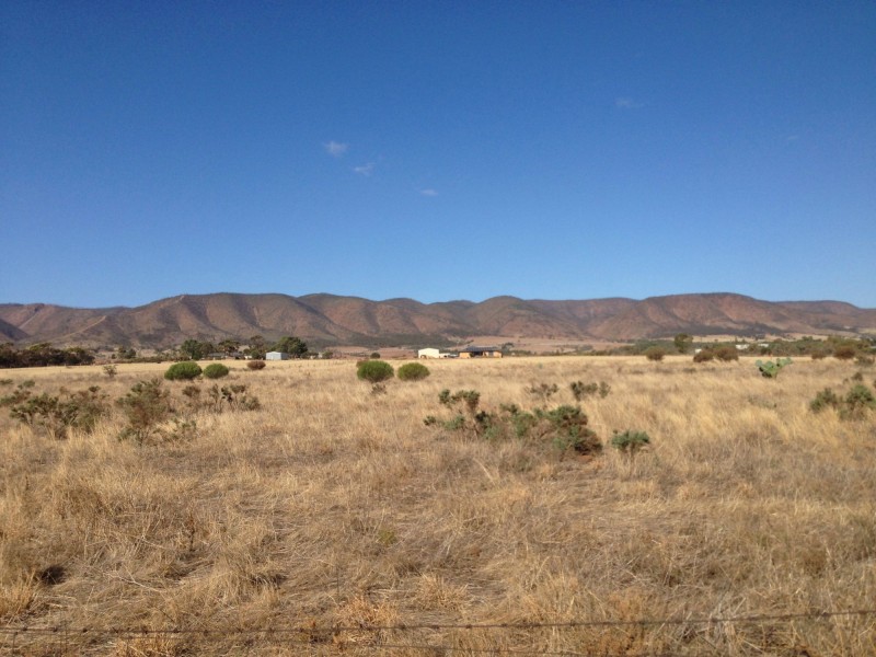 Lot 11 Muster Drive, Napperby SA 5540