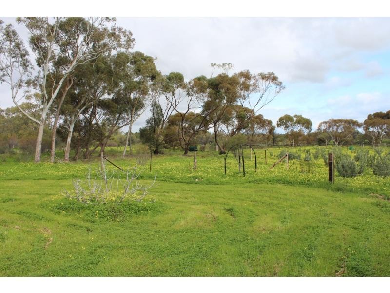 311 Scenic Drive North, Nelshaby SA 5540