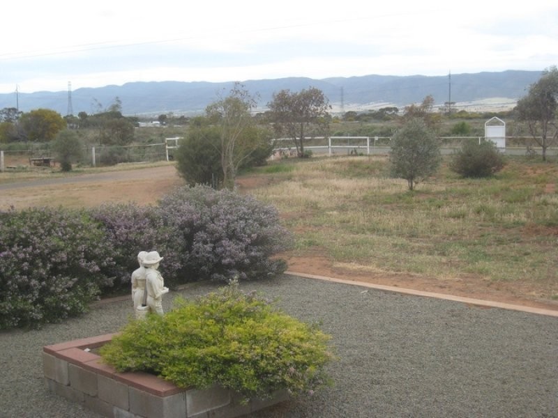 Lot 126 Pirie Blocks Road, Bungama SA 5540