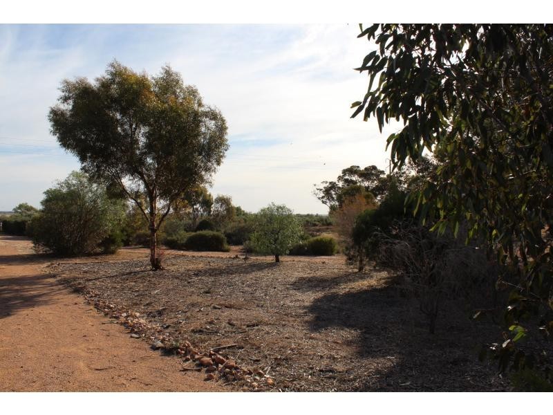 11072 Augusta Highway, Warnertown SA 5540