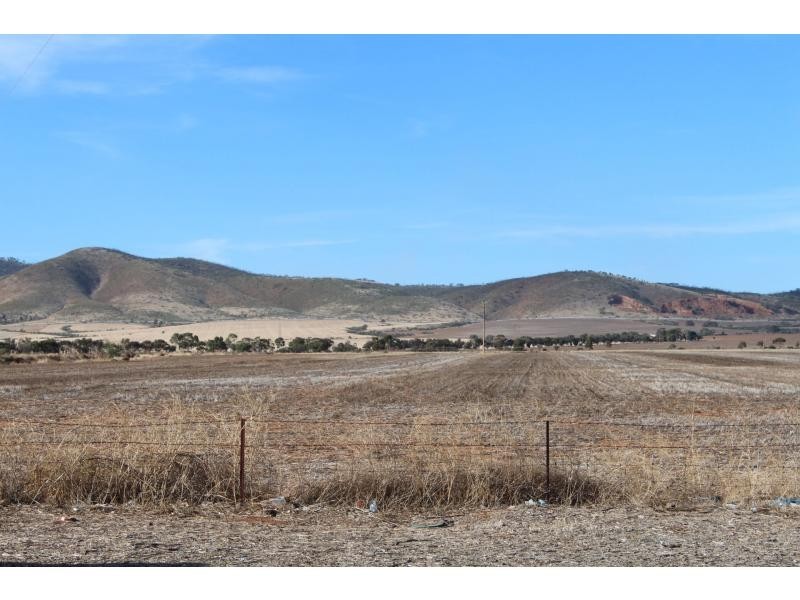 11072 Augusta Highway, Warnertown SA 5540