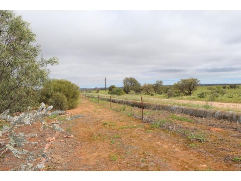 151 Gulf View Road, Napperby SA 5540
