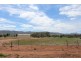 Lot 100 Muster Drive, Napperby SA 5540