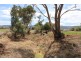 Lot 100 Muster Drive, Napperby SA 5540