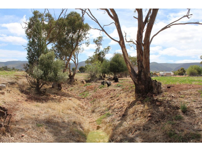Lot 100 Muster Drive, Napperby SA 5540