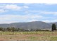 Lot 100 Muster Drive, Napperby SA 5540